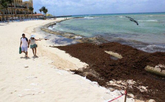 el recodo beach playa del carmen